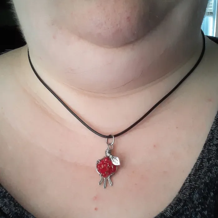 The Worthy Witch Necklaces Pomegranate necklace red crystal style D